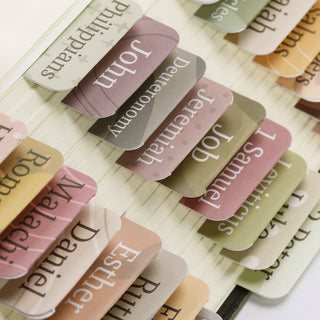 BEAUTIFUL BIBLE TABS RGANIZE AND ELEVATE!