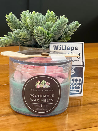 CACTUS BLOSSUM SCOOPABLE SOY WAX