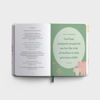 PRAYERS AND AFFIRMATIONS FOR YOU AND YOUR BABY DAYSPRING