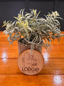 THE LODGE ON SEVENTH CEDAR MAGNET